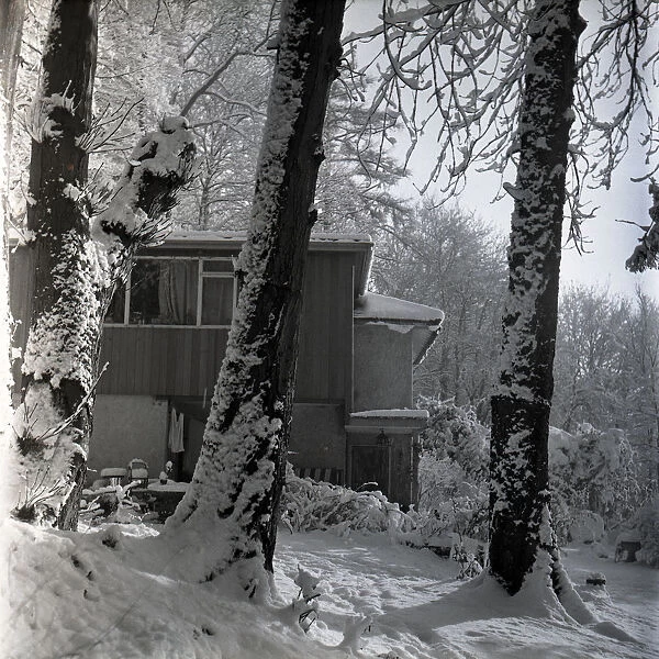 Woodland house in the snow