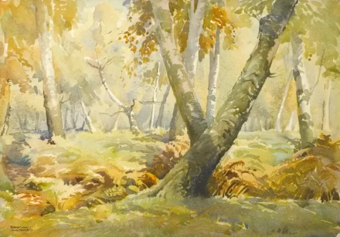 Framed Print : Woodland landscape Framed Print : Woodland landscape