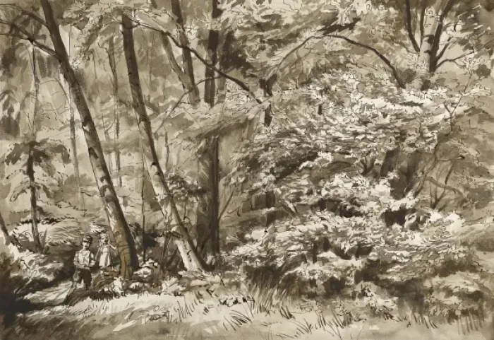 Framed Print : Woodland scene Framed Print : Woodland scene