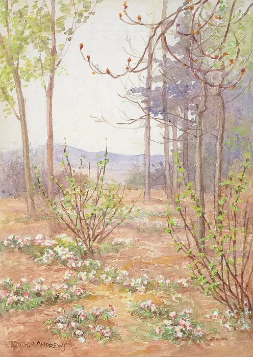 Framed Print : Woodland Scene - Gardens Framed Print : Woodland Scene - Gardens