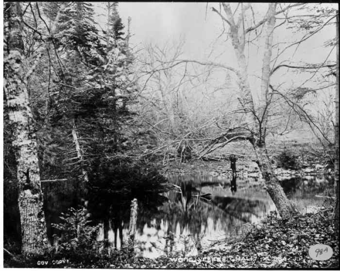 Framed Print : Woodland scene in Halifax 1873 Framed Print : Woodland scene in Halifax 1873