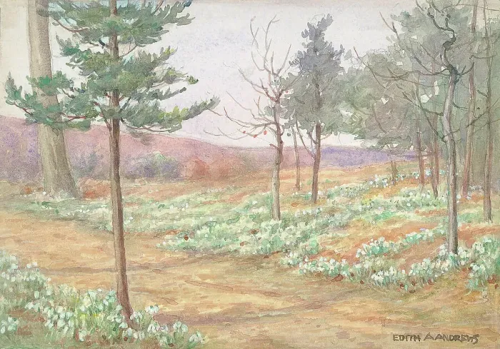 Framed Print : Woodland with Snowdrops - Gardens Framed Print : Woodland with Snowdrops - Gardens