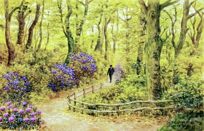 Framed Print : In the Woods, Colwyn Bay, Clwyd, North Wales Framed Print : In the Woods, Colwyn Bay, Clwyd, North Wales
