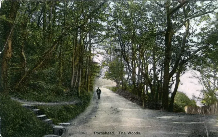 Framed Print : The Woods, Portishead, Somerset Framed Print : The Woods, Portishead, Somerset