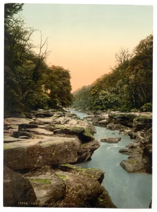 Framed Print : Woods, the Strid, Bolton Abbey, England Framed Print : Woods, the Strid, Bolton Abbey, England