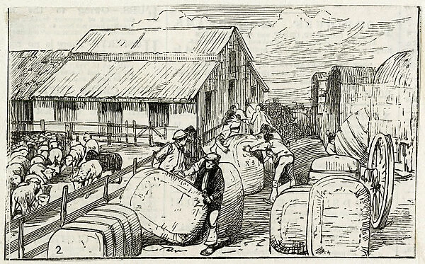 WOOL BALES IN ARGENTINA