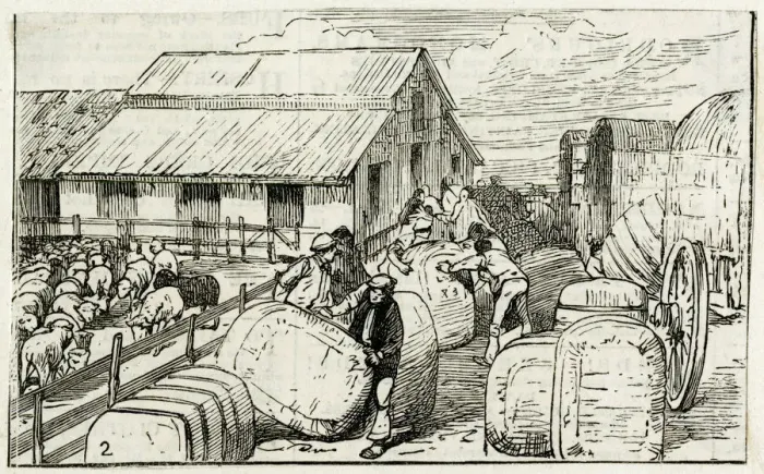 Framed Print : WOOL BALES IN ARGENTINA Framed Print : WOOL BALES IN ARGENTINA