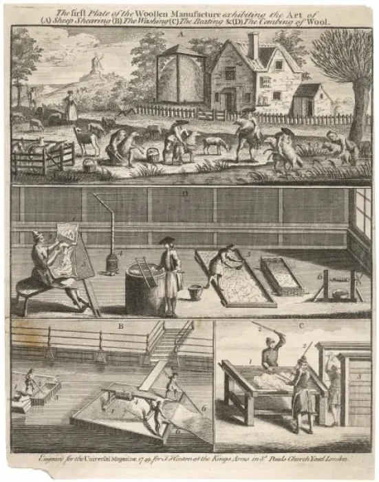 Framed Print : Wool / Early Processes Framed Print : Wool / Early Processes