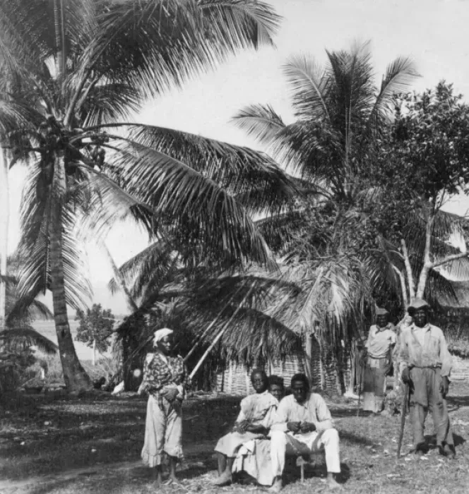 Framed Print : Workers in a palm grove, Jamaica Framed Print : Workers in a palm grove, Jamaica