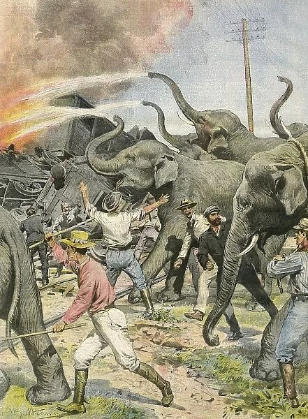 Working Elephants 1907