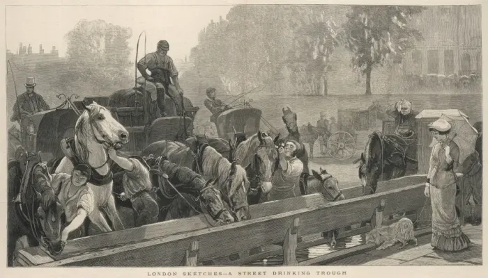 Framed Print : Working horses drinking at a trough, London Framed Print : Working horses drinking at a trough, London