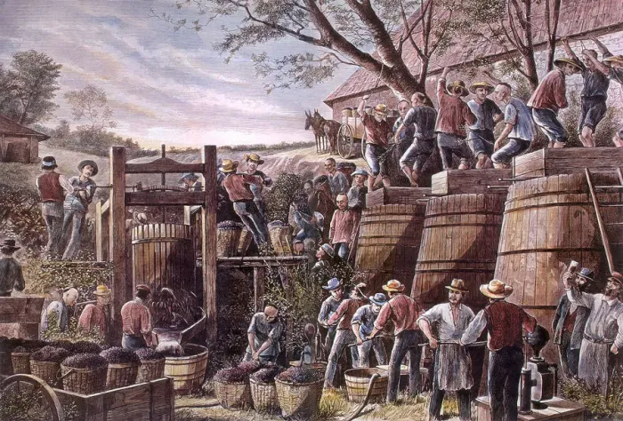 Framed Print : Working Vineyard Date: 1878 Framed Print : Working Vineyard Date: 1878