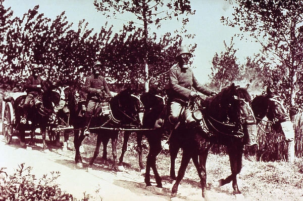 WORLD WAR (1914-1918). Soldiers and horses of the German ar