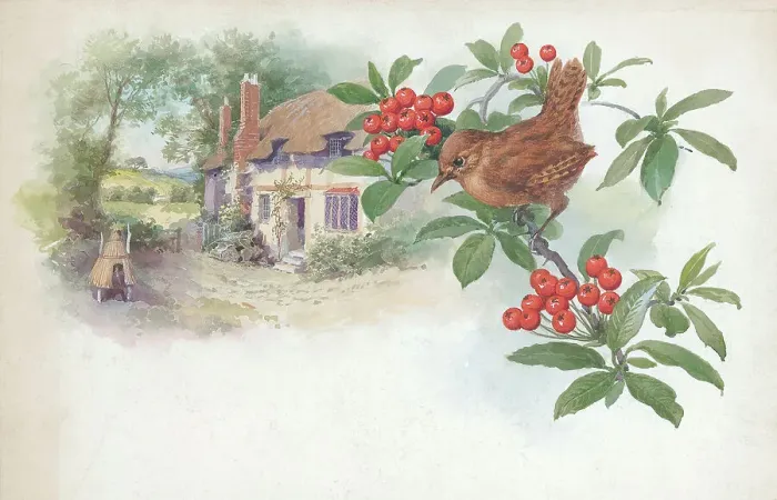 Framed Print : Wren and cottage Framed Print : Wren and cottage