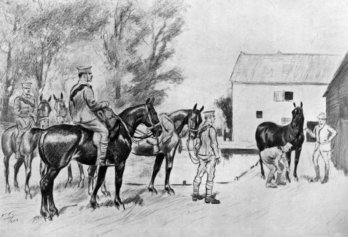 Framed Print : WW1 - buying horses for the Suffolk Territorial R. F. A Framed Print : WW1 - buying horses for the Suffolk Territorial R. F. A