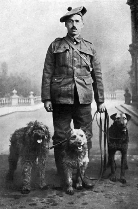 Framed Print : WW1 dogs, Keeper Reid with messenger dogs Framed Print : WW1 dogs, Keeper Reid with messenger dogs