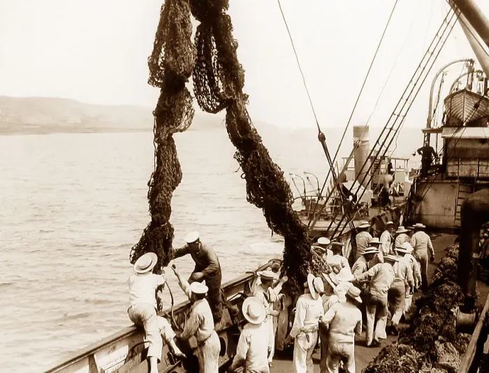 Framed Print : WW1 Gallipoli British sailors deploying submarine nets Framed Print : WW1 Gallipoli British sailors deploying submarine nets