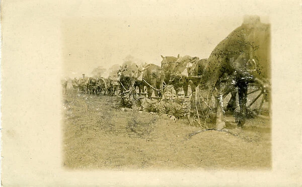 WW1 Gunners in Trench & Horses