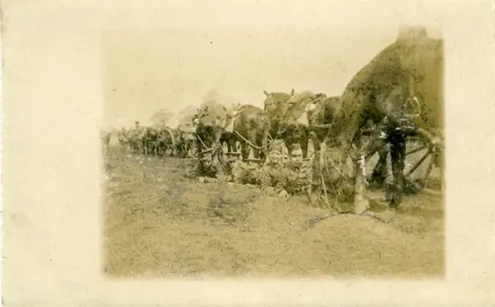Framed Print : WW1 Gunners in Trench & Horses Framed Print : WW1 Gunners in Trench & Horses