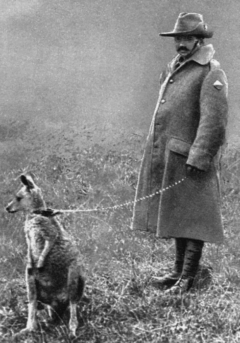 Framed Print : WW1 mascots: a kangaroo and soldier Framed Print : WW1 mascots: a kangaroo and soldier
