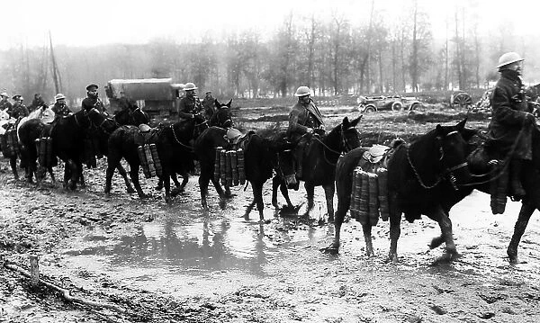 WW1 - Pack horses taking ammunition to the front