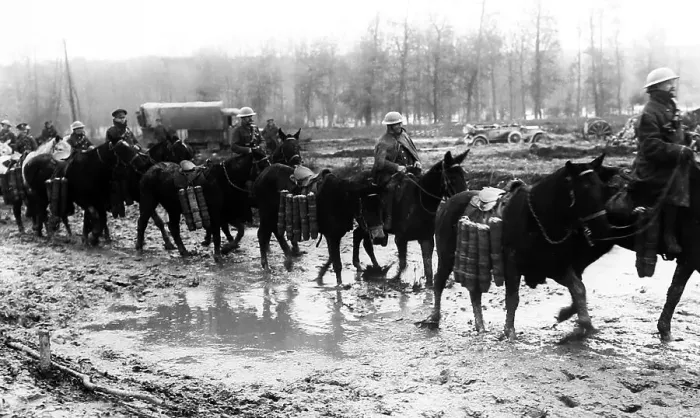 Framed Print : WW1 - Pack horses taking ammunition to the front Framed Print : WW1 - Pack horses taking ammunition to the front