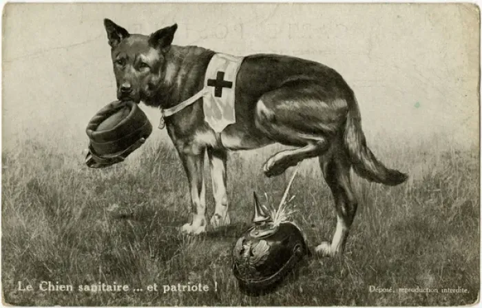 Framed Print : WW1 - Patriotic Red Cross Dog cocks his leg on German Helmet Framed Print : WW1 - Patriotic Red Cross Dog cocks his leg on German Helmet