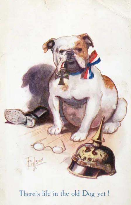 Framed Print : WW1 POSTCARD BULLDOG Framed Print : WW1 POSTCARD BULLDOG