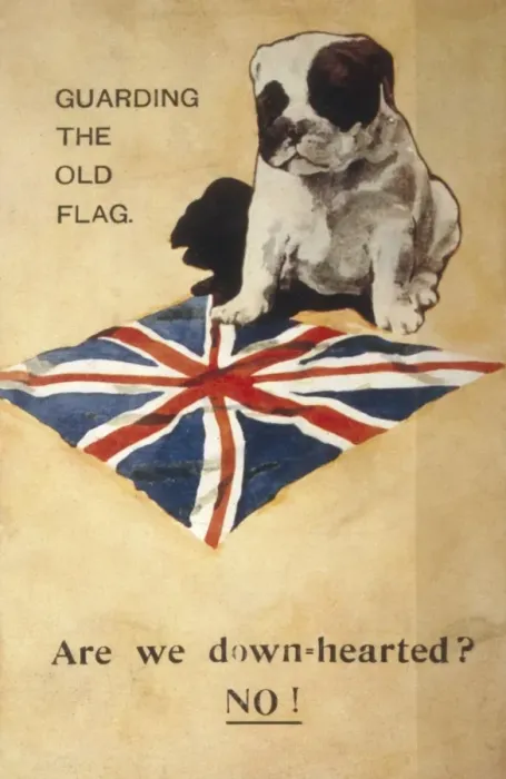 Framed Print : Ww1 Postcard Bulldog Framed Print : Ww1 Postcard Bulldog