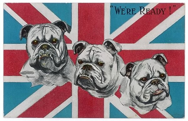Ww1 Postcard Bulldogs