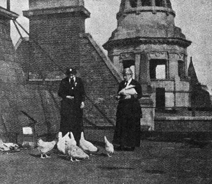 Framed Print : WW1 roof top poultry farm, 1917 Framed Print : WW1 roof top poultry farm, 1917