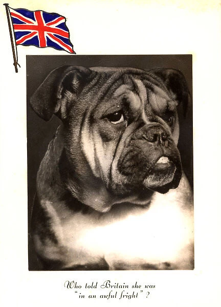 WW2 Christmas card, British bulldog
