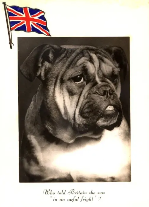 Framed Print : WW2 Christmas card, British bulldog Framed Print : WW2 Christmas card, British bulldog