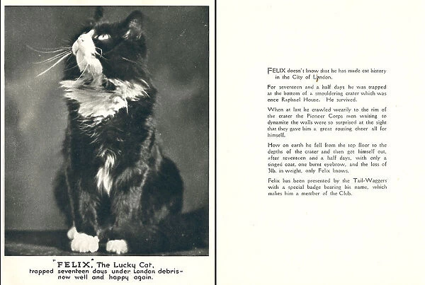 WW2 Christmas Card, Felix The Lucky Cat