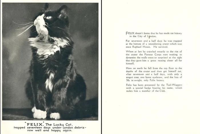 Framed Print : WW2 Christmas Card, Felix The Lucky Cat Framed Print : WW2 Christmas Card, Felix The Lucky Cat