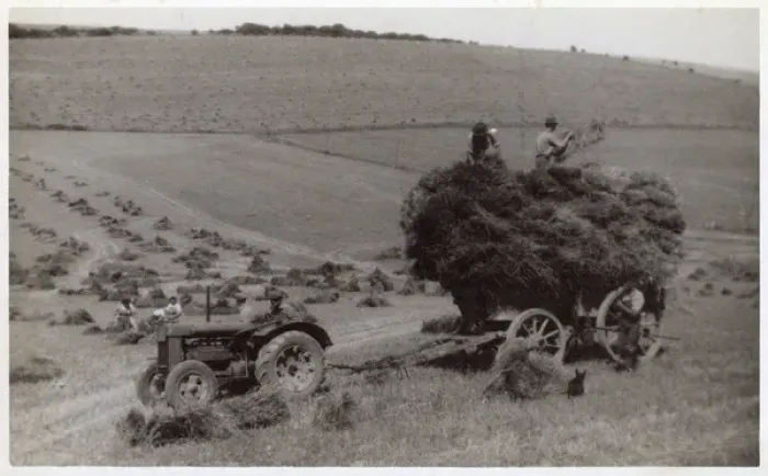 Framed Print : WW2 - Home Front - Agricultural workers - Harvesting crops Framed Print : WW2 - Home Front - Agricultural workers - Harvesting crops