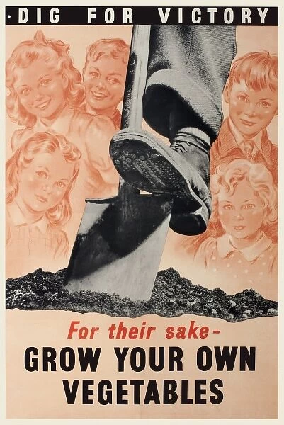 WW2 Home front poster - Dig for Victory