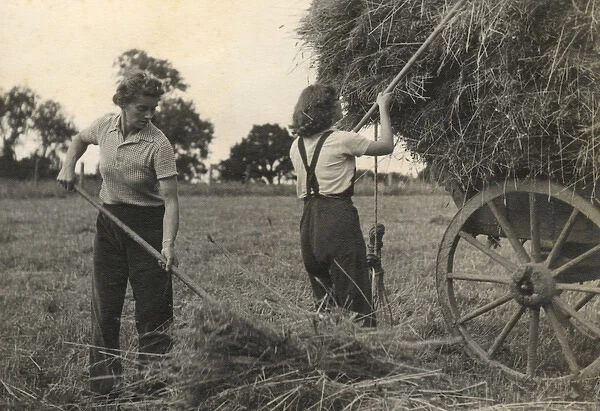 WW2 - Land Girls piling hay onto a wagon