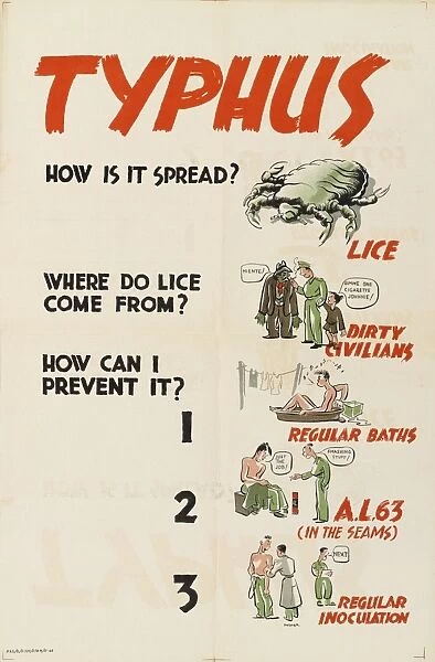 WW2 Poster -- Typhus, How Is It Spread?