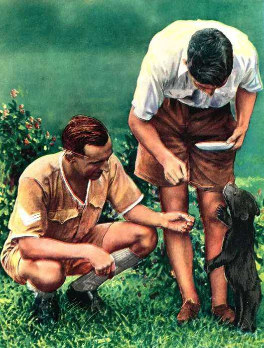 Framed Print : WW2 - A Singapore Mascot Of The R. A. F Framed Print : WW2 - A Singapore Mascot Of The R. A. F
