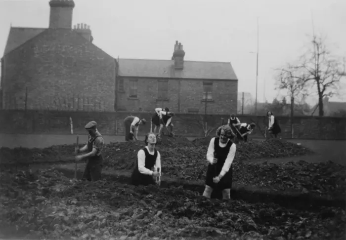 Framed Print : WW2 - Students digging trenches - Munich crisis Framed Print : WW2 - Students digging trenches - Munich crisis