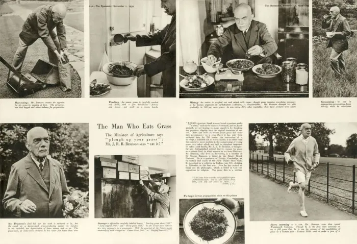 Framed Print : WWII - the man who eats grass, Mr J. R. B. Branson Framed Print : WWII - the man who eats grass, Mr J. R. B. Branson