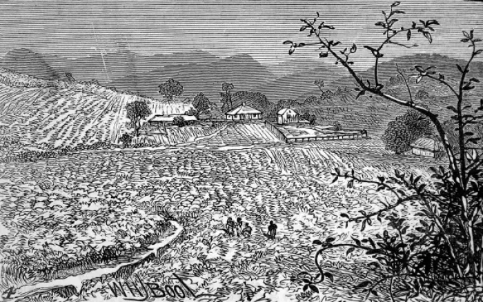 Framed Print : The Wynaad Goldfields, Southern India. View of the Richmond Framed Print : The Wynaad Goldfields, Southern India. View of the Richmond
