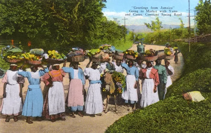 Framed Print : Yams & Canes taken to market - Constant Spring Road, Jamaica Framed Print : Yams & Canes taken to market - Constant Spring Road, Jamaica