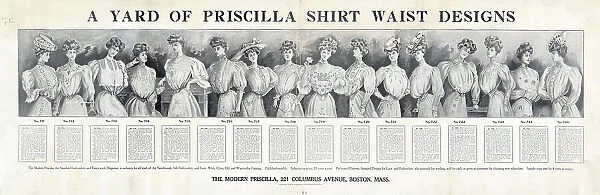 A yard of Priscilla shirt waist designs