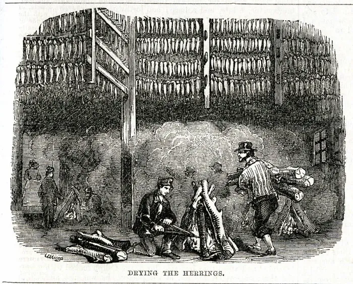 Framed Print : Yarmouth Herring Fishery, Drying the Herrings Framed Print : Yarmouth Herring Fishery, Drying the Herrings