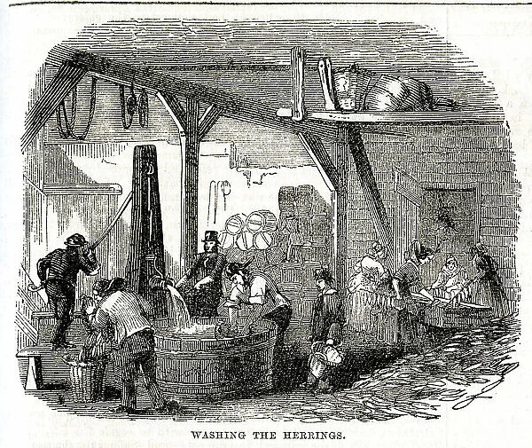 Yarmouth Herring Fishery, Washing the Herrings