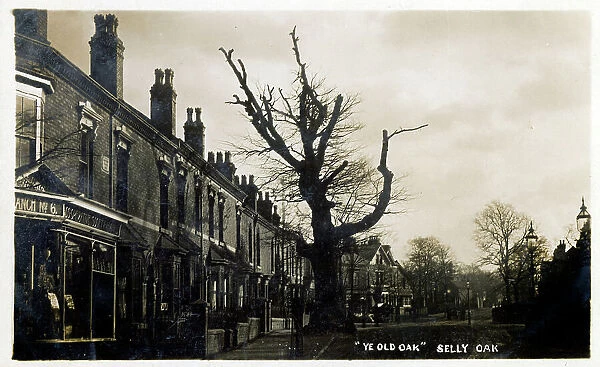 Ye Old Oak at Selly Oak, Bournville, Birmingham