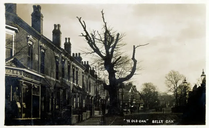 Framed Print : Ye Old Oak at Selly Oak, Bournville, Birmingham Framed Print : Ye Old Oak at Selly Oak, Bournville, Birmingham