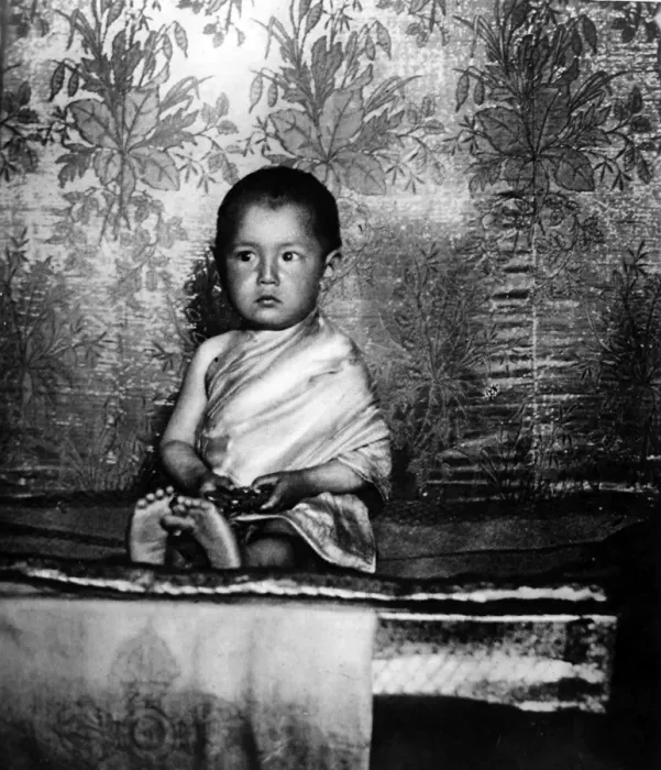 Framed Print : The two year old Holy Lama, Mongolia Framed Print : The two year old Holy Lama, Mongolia